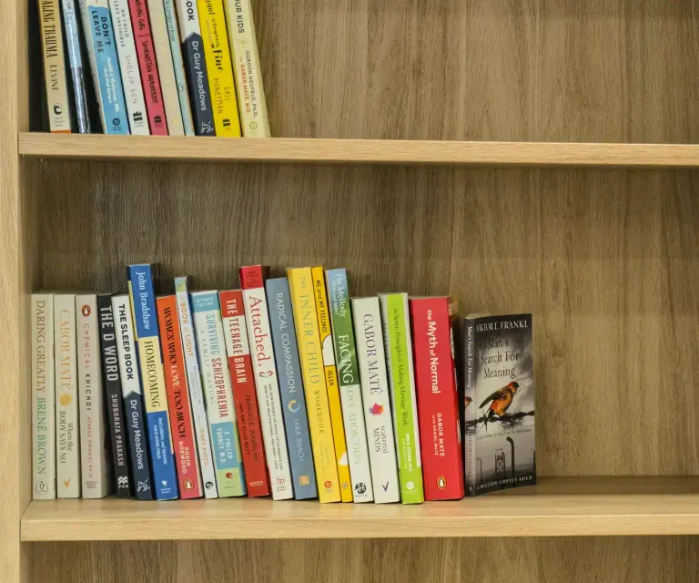 Library With Bookshelf